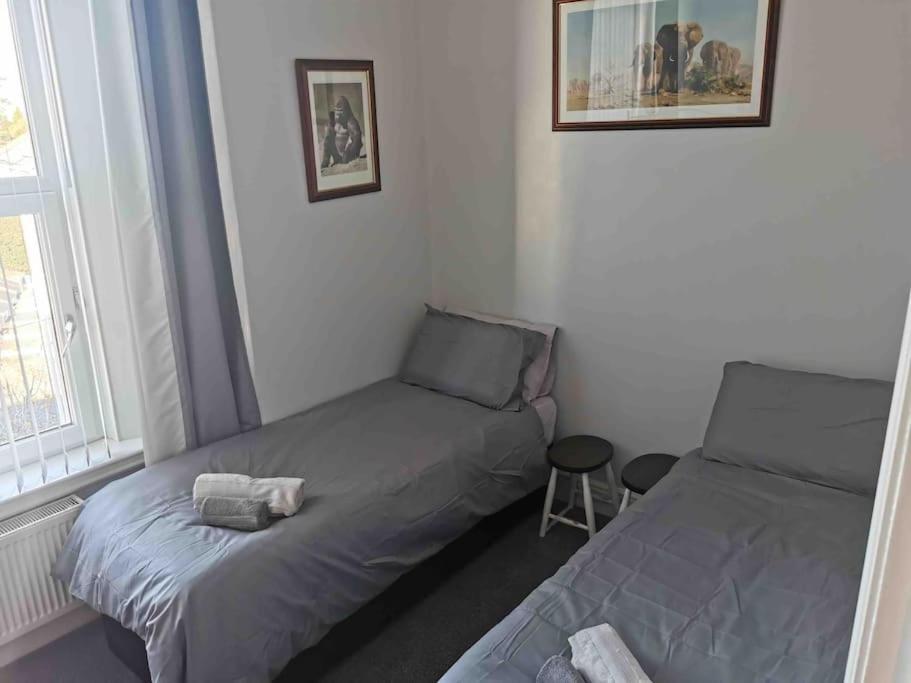 Number 7 Torquay Stunning Sea Views Appartamento Esterno foto
