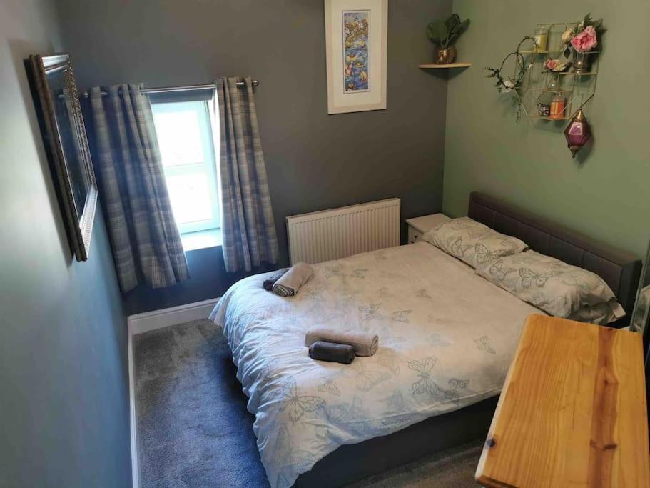 Number 7 Torquay Stunning Sea Views Appartamento Esterno foto