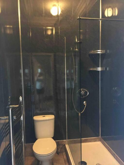 Number 7 Torquay Stunning Sea Views Appartamento Esterno foto